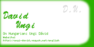 david ungi business card